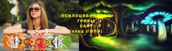 первитин Дмитровск
