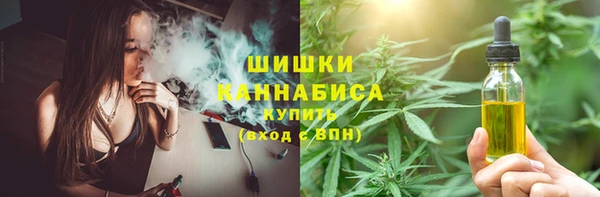 мет Елизово