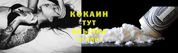 дмт Дмитриев