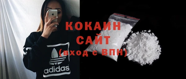 дмт Дмитриев