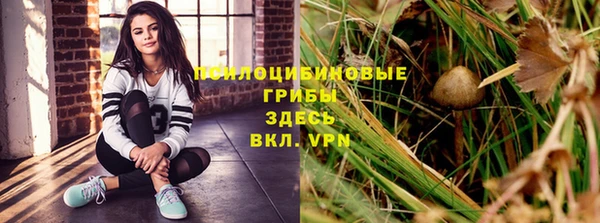 первитин Дмитровск