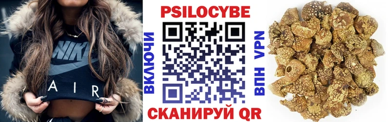где купить наркоту  Злынка  Псилоцибиновые грибы Psilocybe 